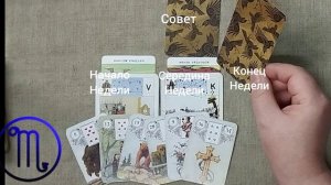 СКОРПИОН ♏ Таро-прогноз на неделю с 8 по 14 июня