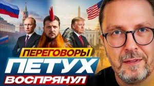 ШАРИЙ: Переговоры. Петух воспрянул.