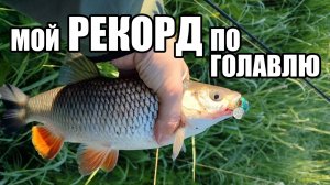 Мой рекорд по голавлю! Спиннинг на малой реке. Испытываю новые воблеры