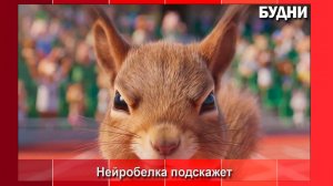 Нейробелка поможет жителям и гостям Белогорска сориентироваться в праздничных мероприятиях