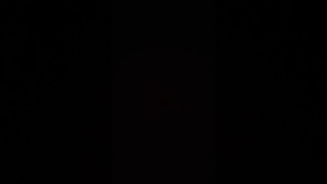 ищем кошку смотреть онлайн