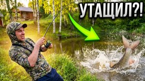 МОНСТР ЧУТЬ НЕ УТАЩИЛ УДОЧКУ! Отдыхаем на природе всей семьей.