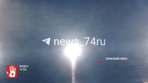 Настоящее нашествие белых бабочек заметили под Миассом