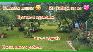 05-06-2026/Краснодарский край/Мечты сбываются!!!/Что с водой?/Прополка/Затенёнка/Срочно в курятник/