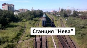 Секретный ракурс: этот вид с моста на «Неву» завораживает!
