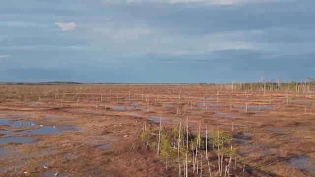 Охота на гуся. Долгий и тяжёлый путь до места охоты. смотреть онлайн