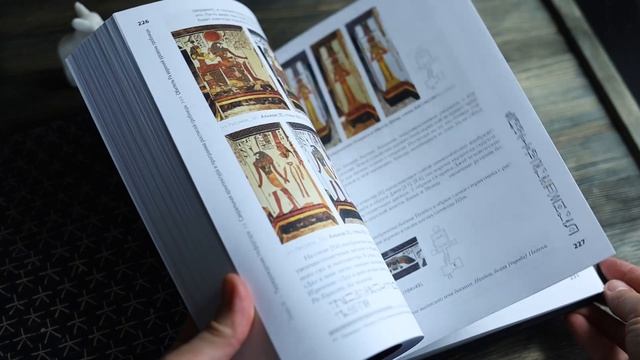 Древний Египет: 3D-реконструкция и расшифровка программы росписей гробницы Нефертари