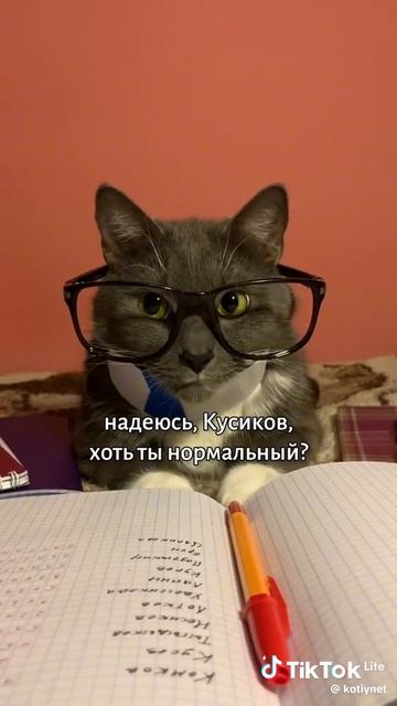 1000003683.mp4