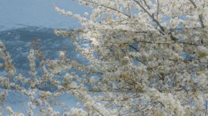 Model'er - Spring