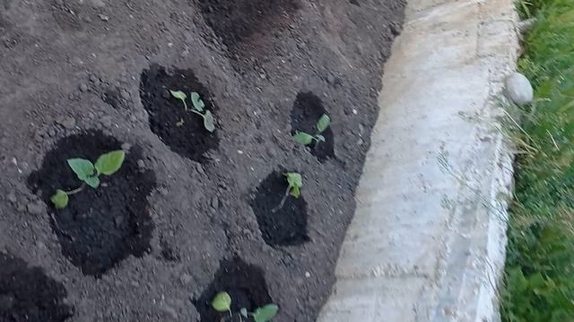 Наше утро смотреть онлайн