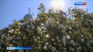 ГТРК СЛАВИЯ Вести Великий Новгород 06.06.26