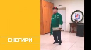 СНЕГИРИ. Поёт Евгений Иванченков