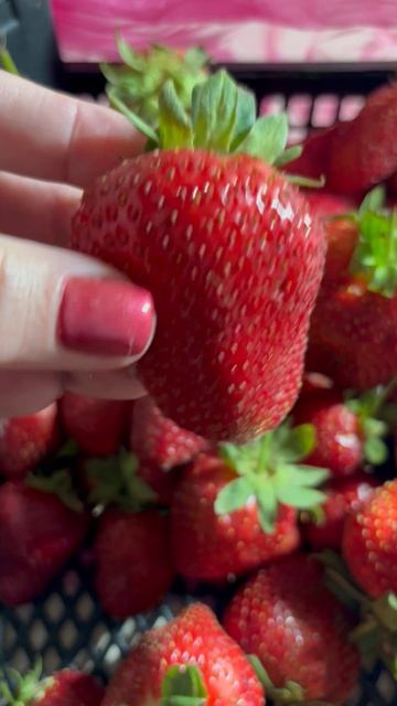 Купила за 280 рублей килограмм. Оказалась очень вкусная