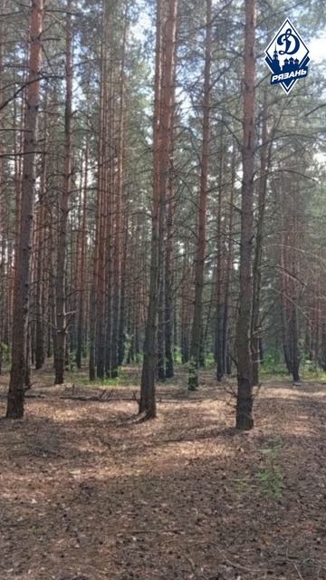 Анонс 4 этап лиги спортивного ориентирования