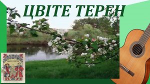 ЦВIТЕ ТЕРЕН - обработка для гитары.