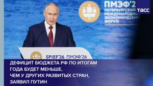 Дефицит бюджета РФ по итогам года будет меньше, чем у других развитых стран, заявил Путин