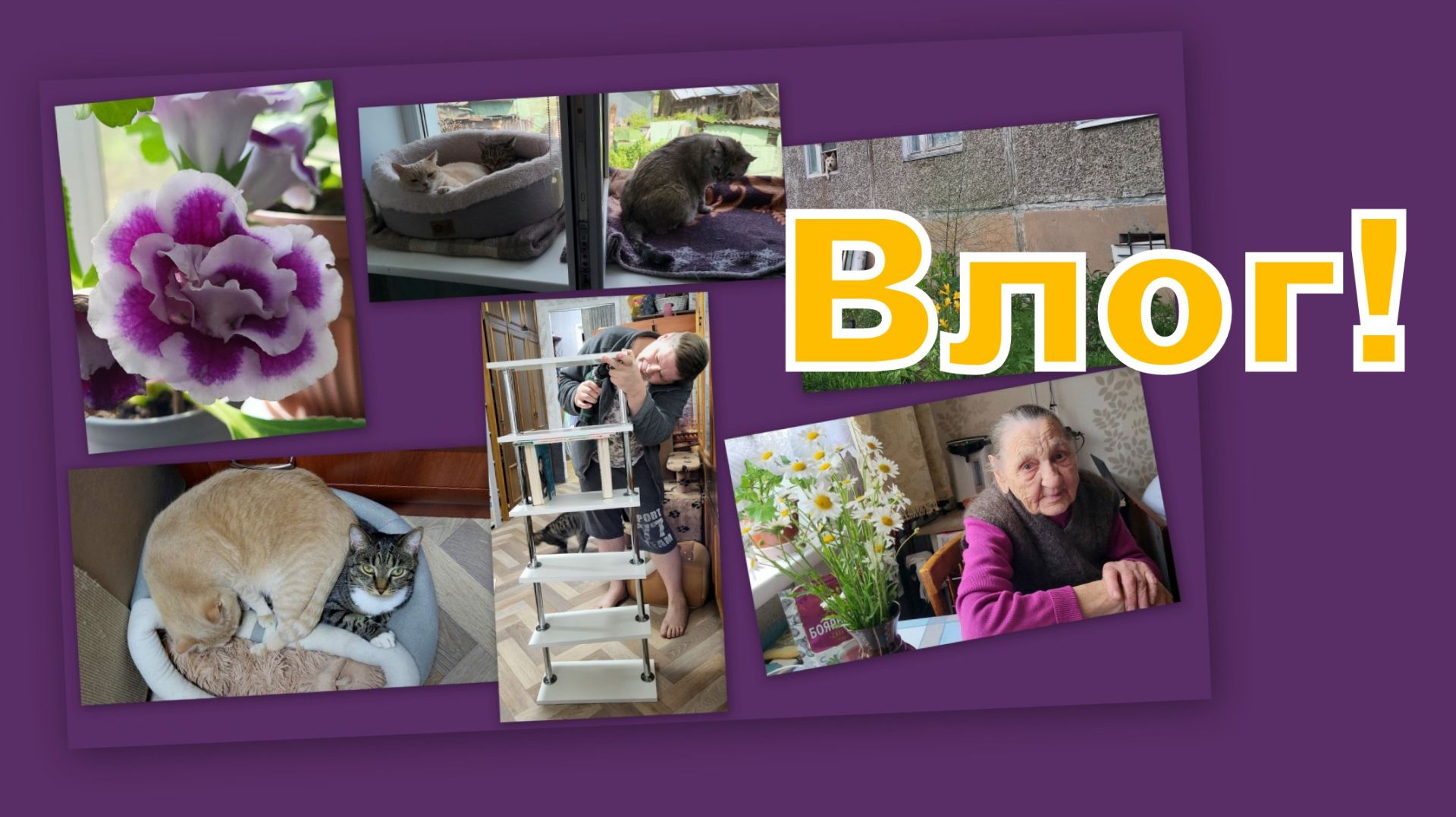 ВЛОГ: ЧТО С ПОЛКОЙ? УДИВИТЕЛЬНЫЕ ГОСТИ! ДЕЛА ПУШИСТЫЕ И КРАСОТА! смотреть онлайн