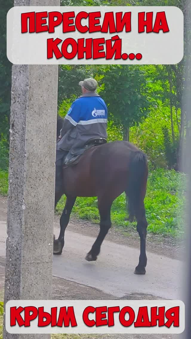 Пересел на коня