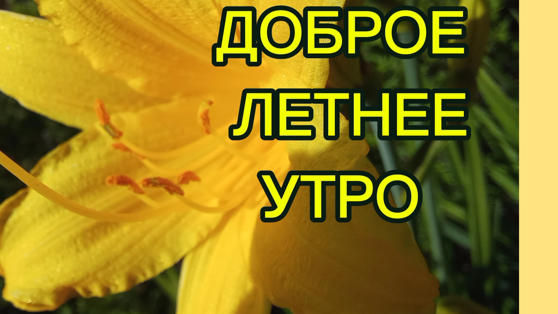 Доброе летнее утро.
Первые лучи солнца... смотреть онлайн