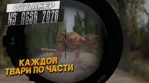 КАЖДОЙ ТВАРИ ПО ЧАСТИ ➤ Сталкер NS OGSR #64
