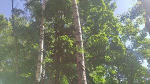 5 июня магический ☀️ прогноз погоды от волшебника Ивана Ивановича Кулебякина из Москвы