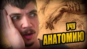 Учу АНАТОМИЮ чтобы прокачать СВОИ НАВЫКИ в Zbrush. Скульптинг. 3d стадики