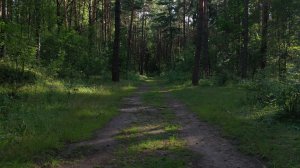 В. Володин, Вступление «Дорога в Орду» и Сцена №6 «Стан Батыев» («Сказание о гибели Рязани...»)