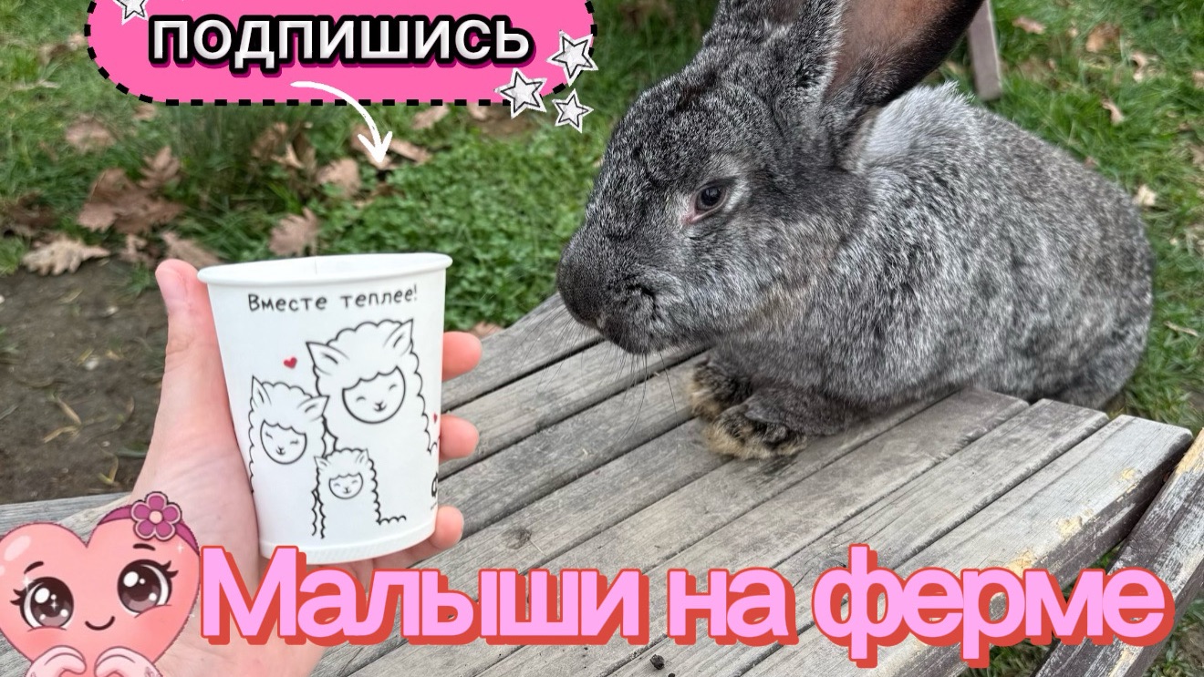 Вы не сможете сдержать улыбку, увидев этих крох 😊🥰💯 Секрет радости и счастья! ❤️