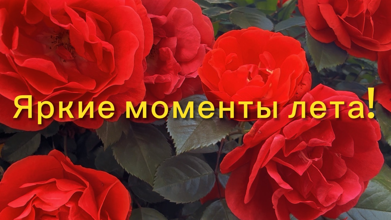 Яркие акценты лета 🌹 Наступило лето 🌹 День рождения 🎁🌹