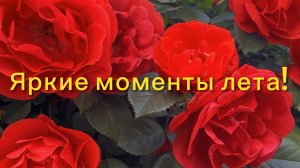 Яркие акценты лета 🌹 Наступило лето 🌹 День рождения 🎁🌹