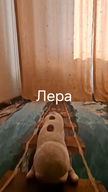 Коты смотреть онлайн