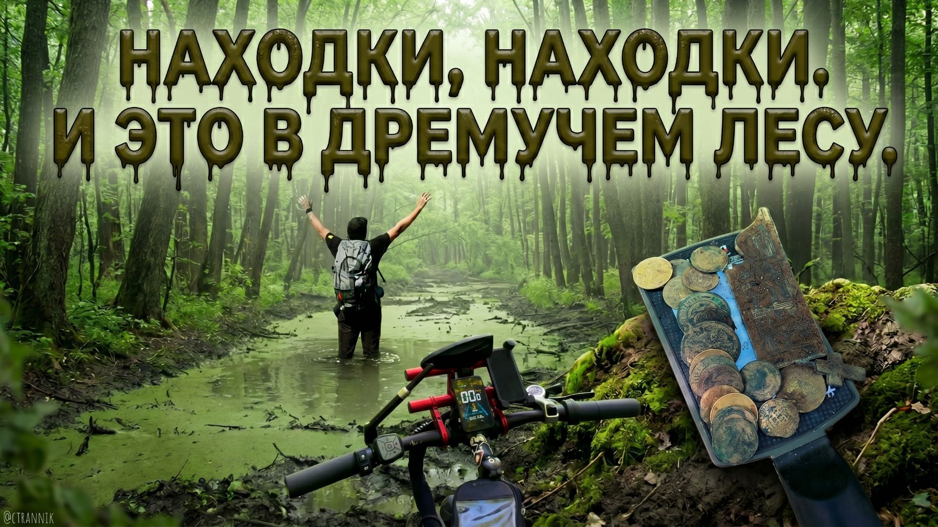 Самое главное находки есть в этом дремучем лесу смотреть онлайн
