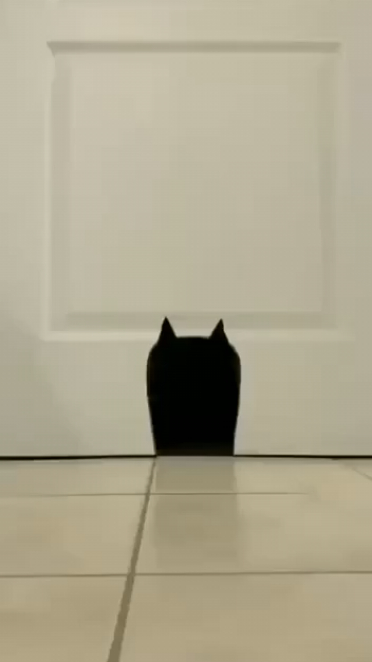 Повелитель тьмы возвращается 🙀