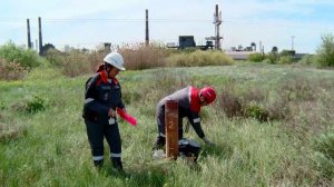 Уральская Сталь выбирает здоровую окружающую среду