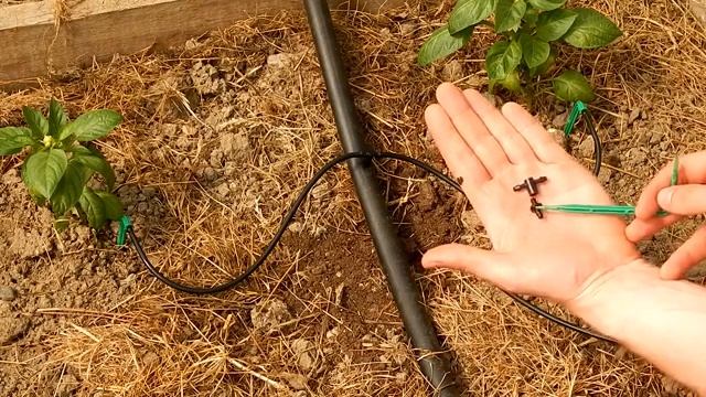 Капельный полив Из чего состоит и как собрать