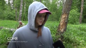 Чистый лес
