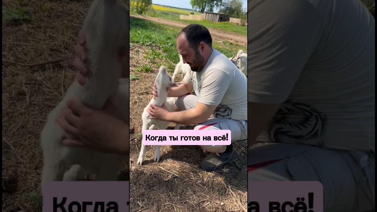 Когда ты готов на всё!