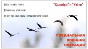 Колибри и Узбек - два Героя