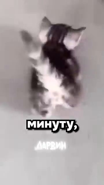 Он очень рад своему забегу