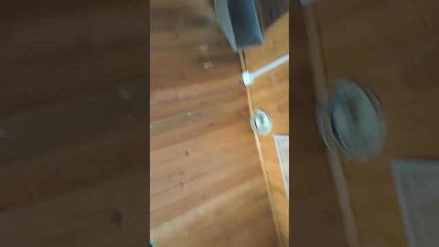 что делать на 1 сентября