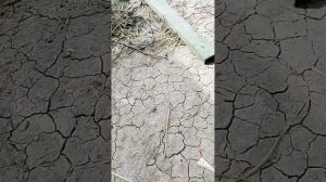делаю свой вирус