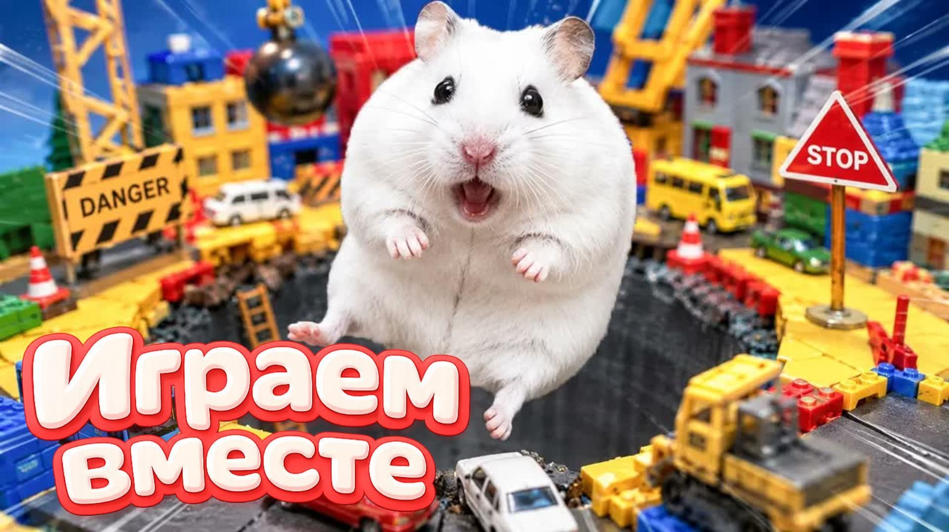 ХОМЯК ВЫБИРАЕТСЯ ИЗ СЕКРЕТНОЙ ХОМЯЧЕЙ ТЮРЬМЫ ! Забавные животные ! Супер лабиринт для хомяка №6 смотреть онлайн