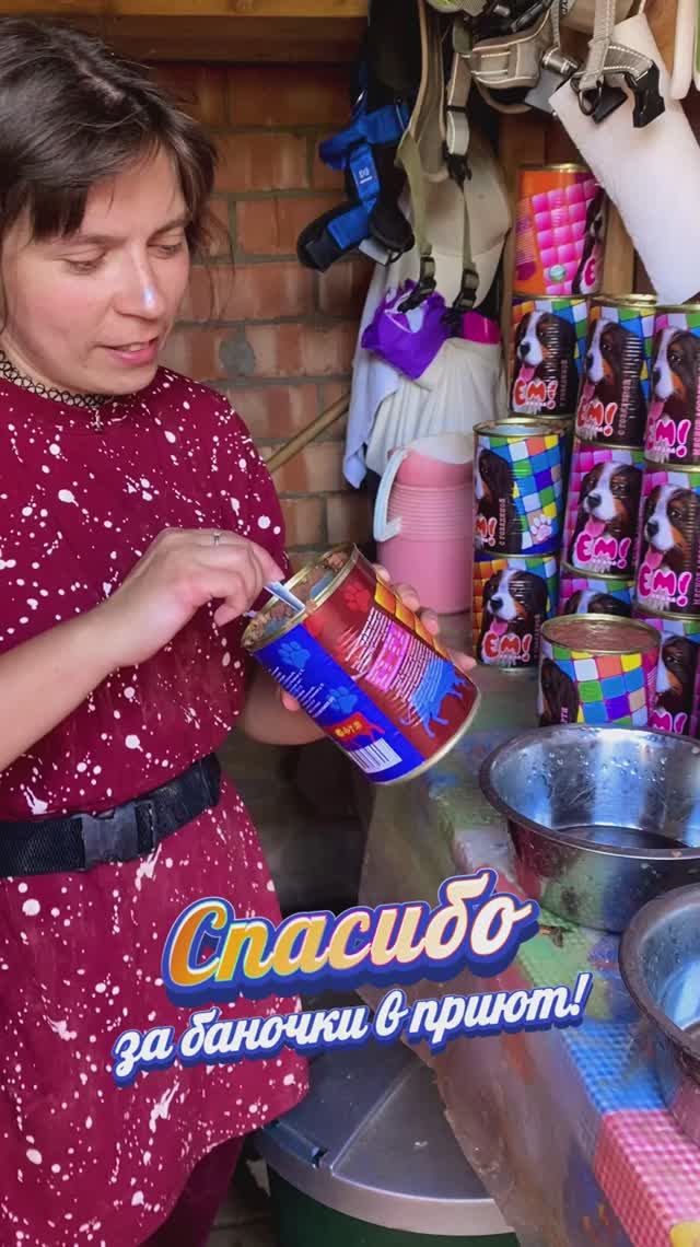 "Ням-баночки!" ❥ Приют в Малинках