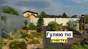 Вы просили показать! Про огород, про забор и прочее!