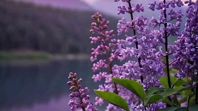 Предупреждение (Читайте описание) смотреть онлайн