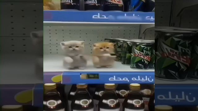 Мой Эдит смотреть онлайн