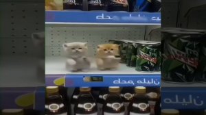 Мой Эдит