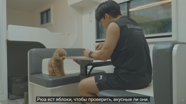 RYUCAMP Кемпинг под проливным дождём с собакой . Караван с 3 спальнями