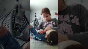 у нас пополнения