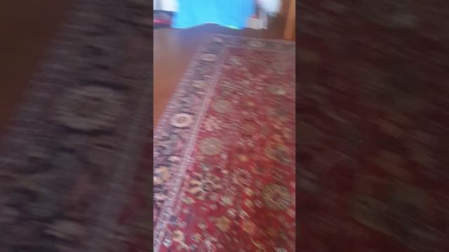 тупая КРАПИВА!